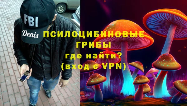 твердый Белокуриха