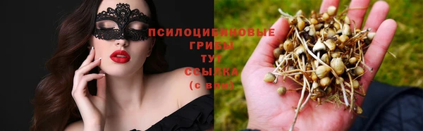 ГАЛЛЮЦИНОГЕННЫЕ ГРИБЫ Армянск
