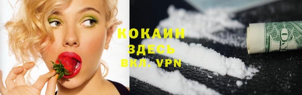 твердый Белокуриха
