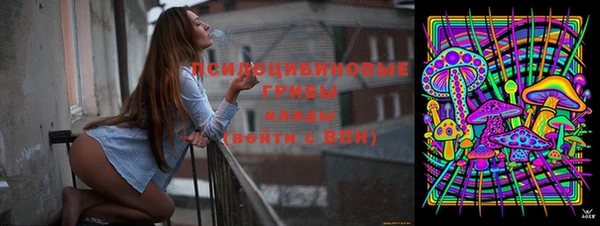 ГАЛЛЮЦИНОГЕННЫЕ ГРИБЫ Армянск