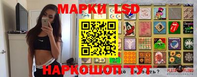 mdpv Краснознаменск