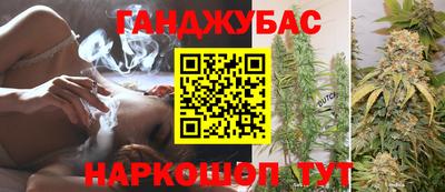 mdpv Краснознаменск